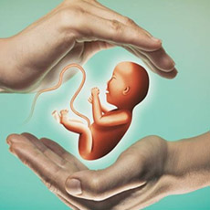 Infertility Profile - I