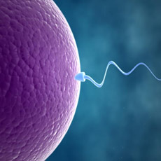Infertility Profile - III