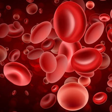 Iron Deficiency Profile
