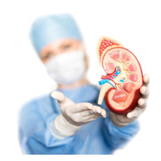 Kidney Function Maxi Profile