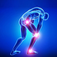 Ortho Profile