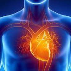 Cardiac Profile