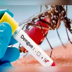 Dengue Profile